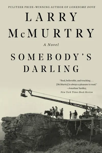 Somebody's Darling book cover