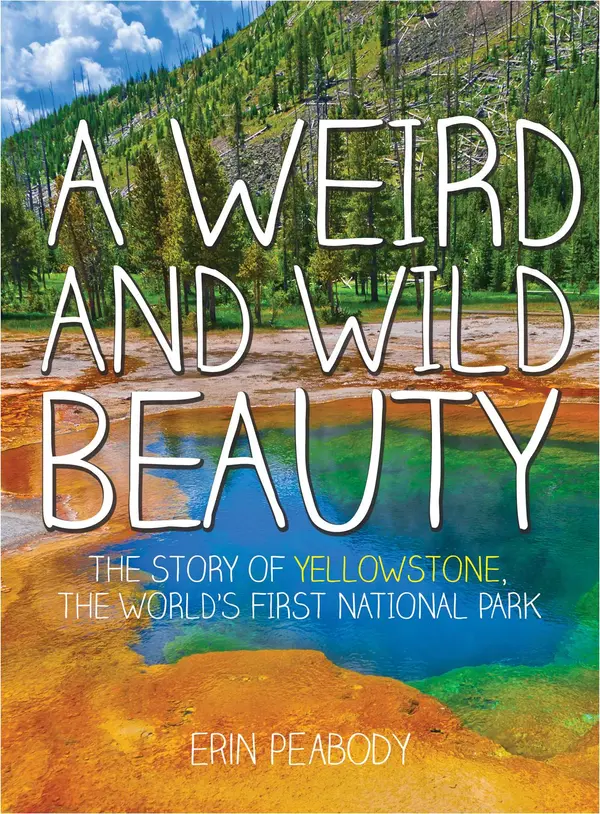 A Weird and Wild Beauty by Erin Peabody cover