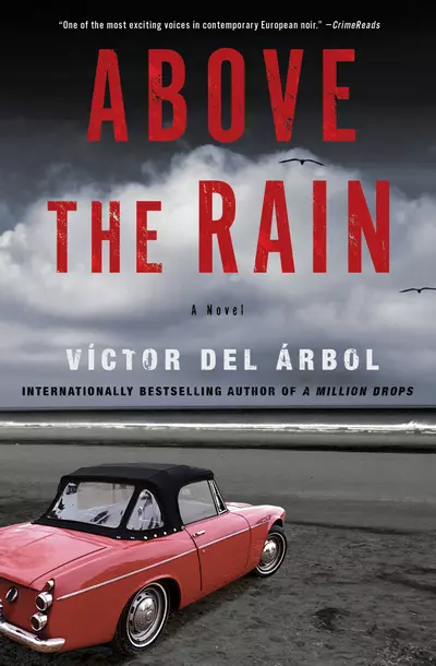 Above the Rain book cover