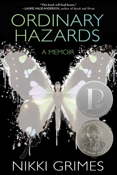Ordinary Hazards book cover