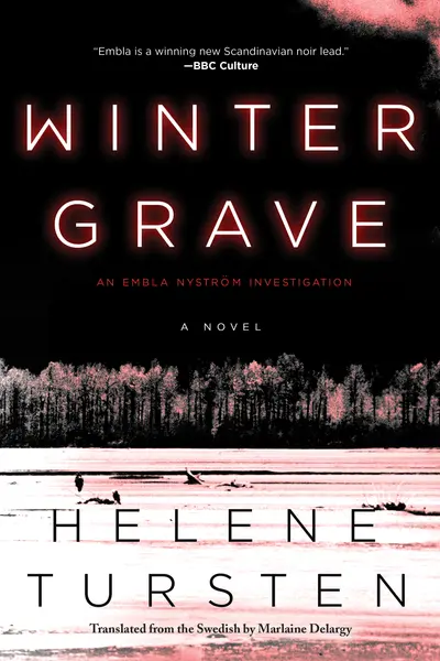Winter Grave book cover