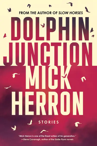 Dolphin Junction: Stories book cover