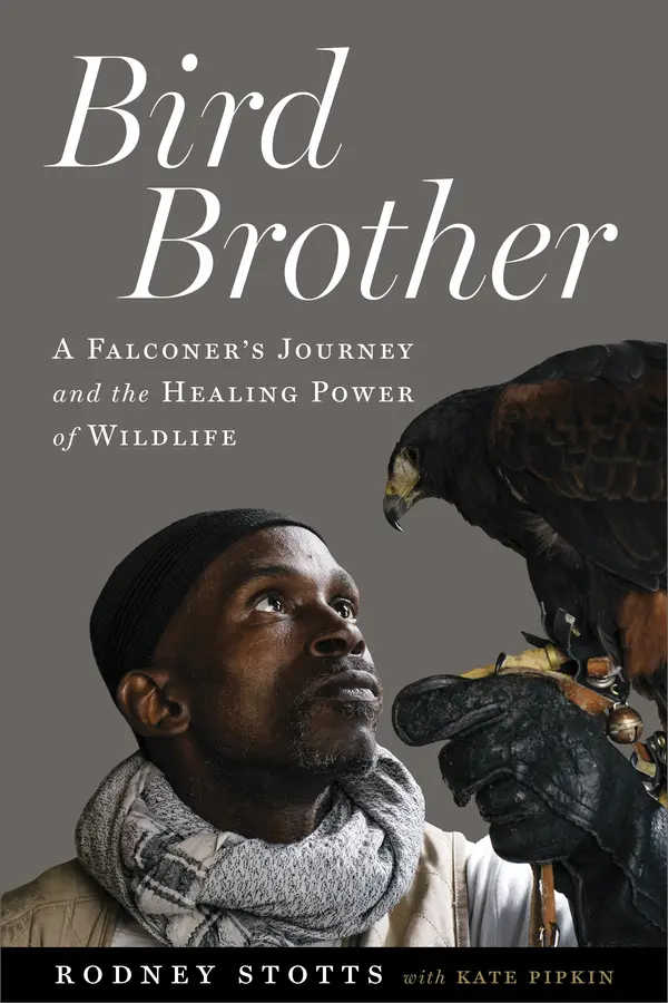 Bird Brother: A Falconer's Journey and the Healing Power of Wildlife by Rodney Stotts cover