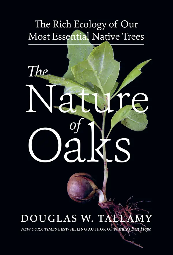 The Nature of Oaks by Douglas W. Tallamy cover