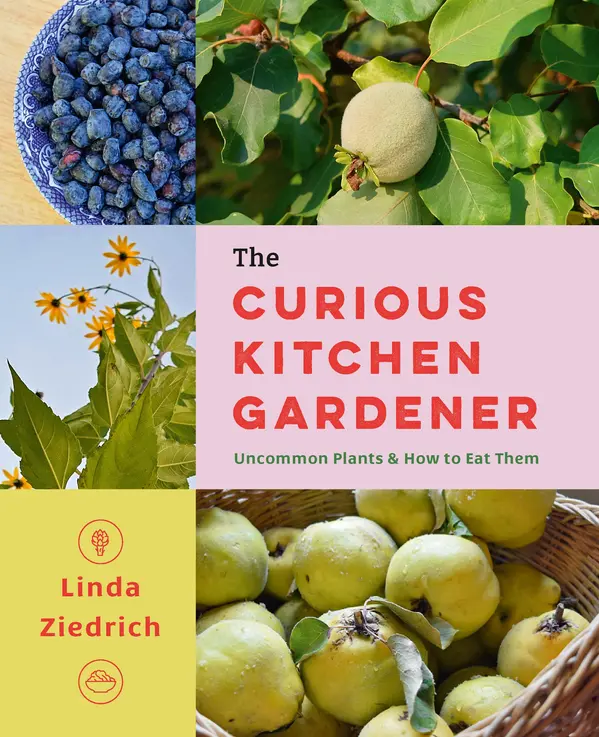 The Curious Kitchen Gardener by Linda Ziedrich cover