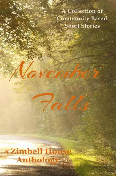 November Falls: A Collection of Community Based Short Stories book cover