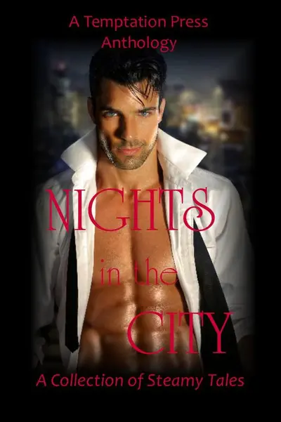 Nights in the City book cover
