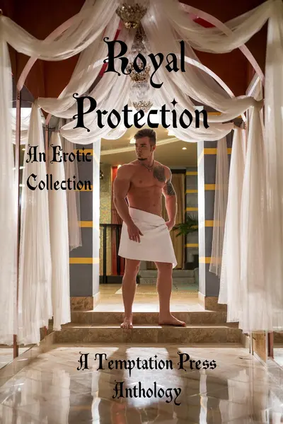 Royal Protection: An Erotic Collection book cover