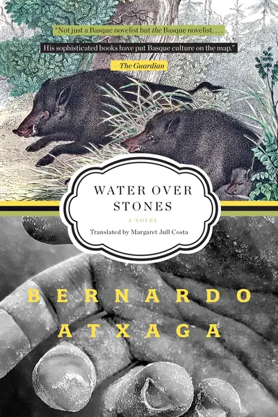 Water over Stones book cover