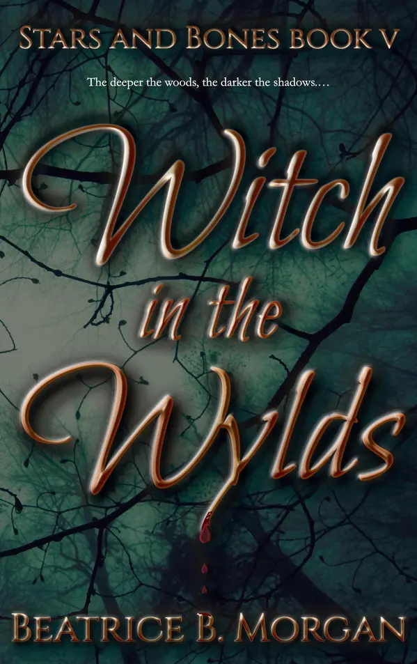 Witch in the Wylds by Beatrice B. Morgan cover