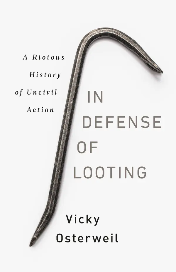 In Defense of Looting by Vicky Osterweil cover