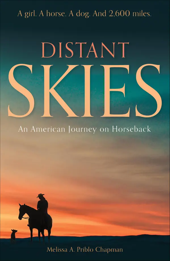 Distant Skies by Melissa A. Priblo Chapman cover