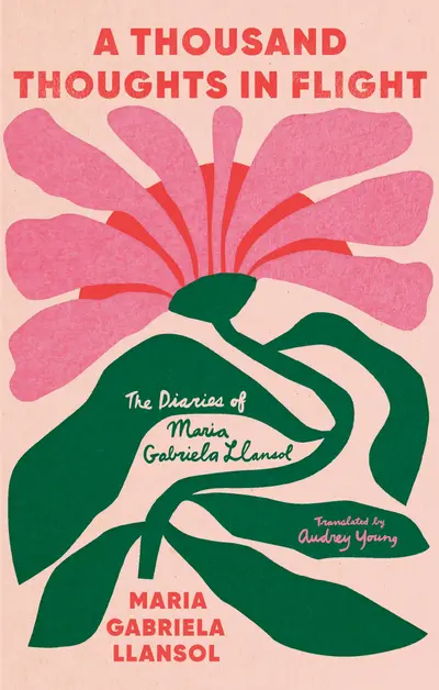A Thousand Thoughts in Flight book cover