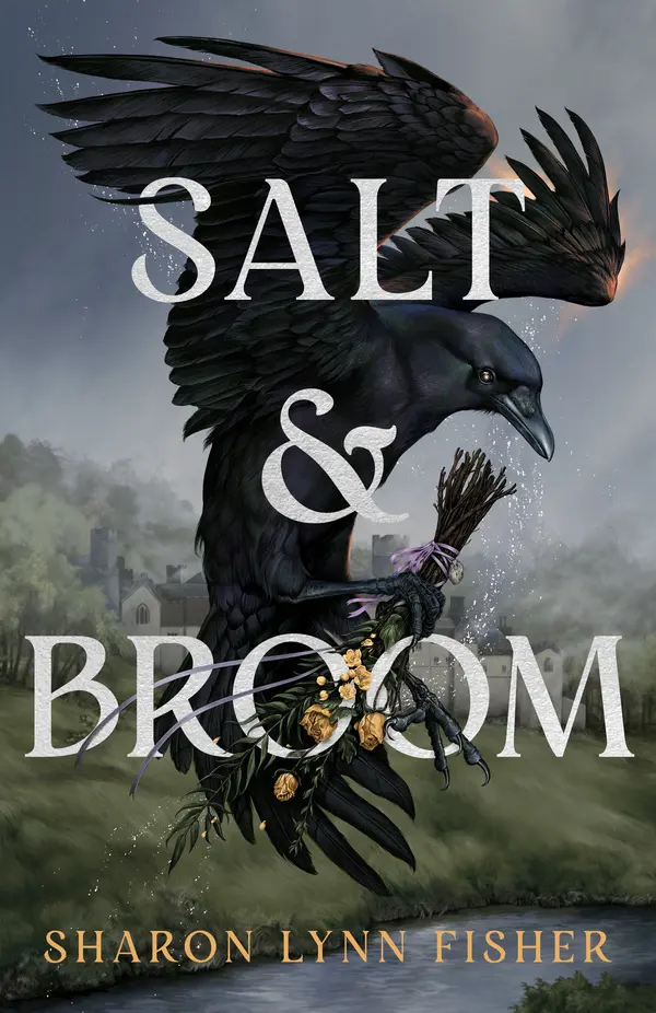 Salt & Broom by Sharon Lynn Fisher cover