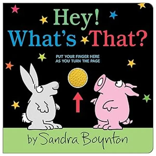 Hey! What's That? by Sandra Boynton cover