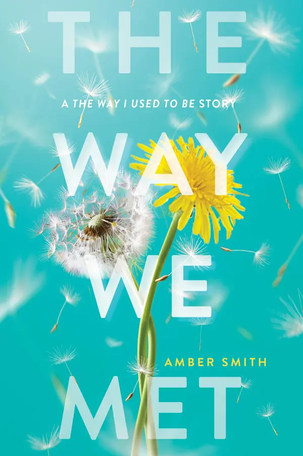 The Way We Met (The Way I Used to Be, #2.5) by Amber   Smith cover