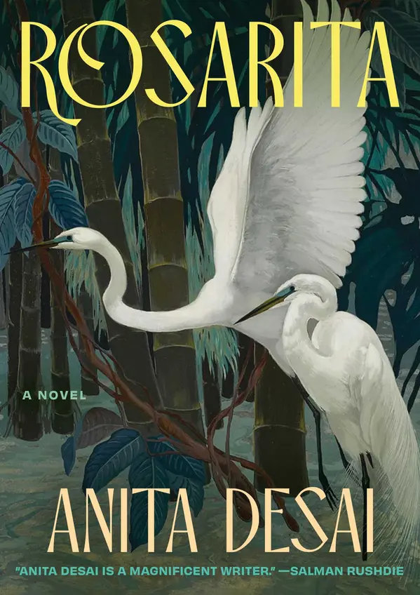 Rosarita by Anita Desai cover
