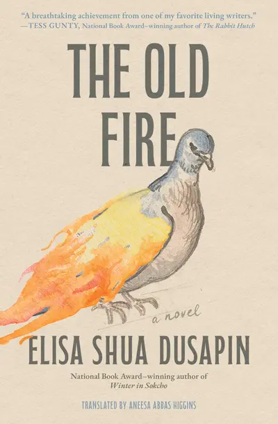 The Old Fire book cover