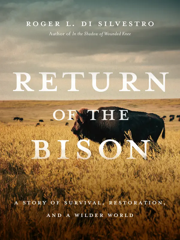 Return of the Bison by Roger Di Silvestro cover