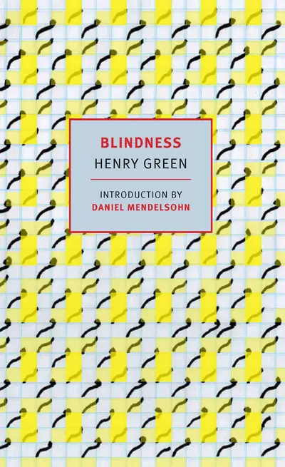 Blindness book cover