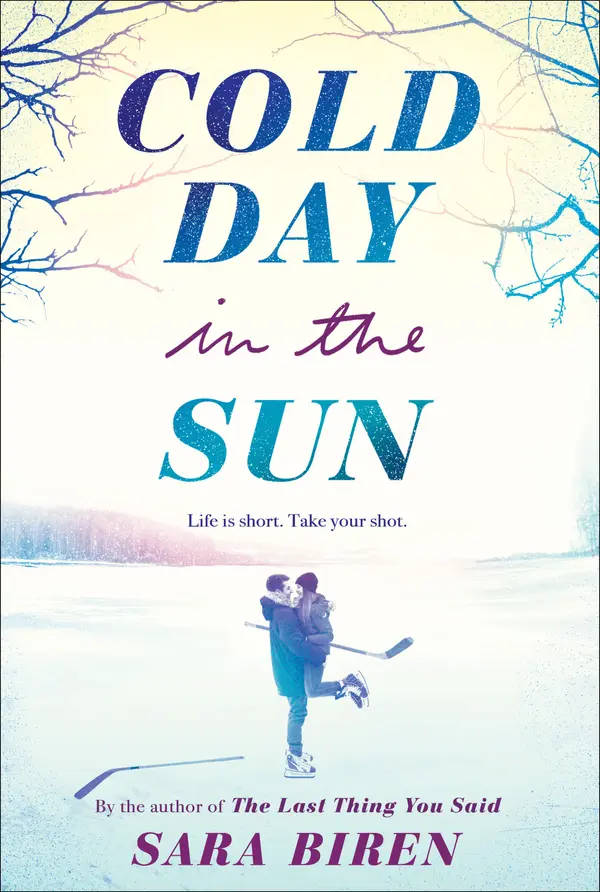 Cold Day in the Sun by Sara Biren cover