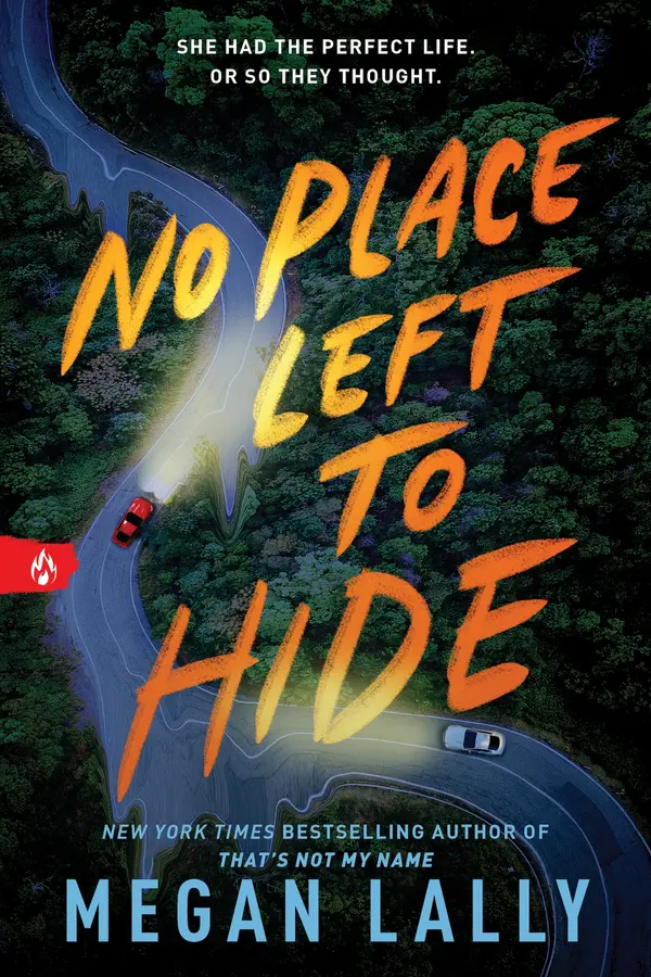 No Place Left to Hide by Megan Lally cover