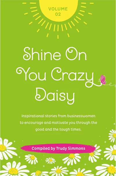 Shine on You Crazy Daisy - Volume 2 book cover