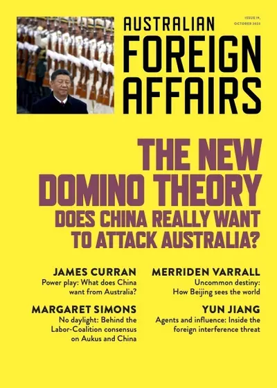 New Domino Theory book cover