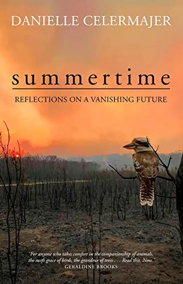 Summertime: Reflections on a vanishing future by Danielle Celermajer cover
