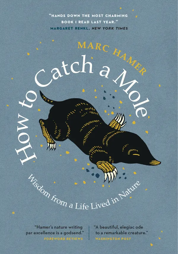 How to Catch a Mole by Marc Hamer cover