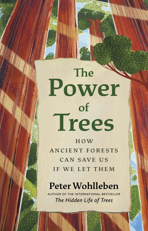The Power of Trees by Peter Wohlleben, Jane Billinghurst cover