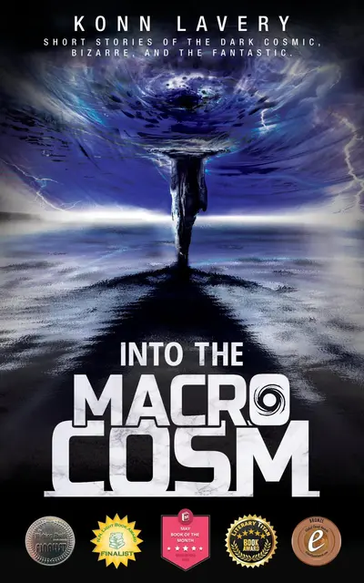 Into the Macrocosm book cover