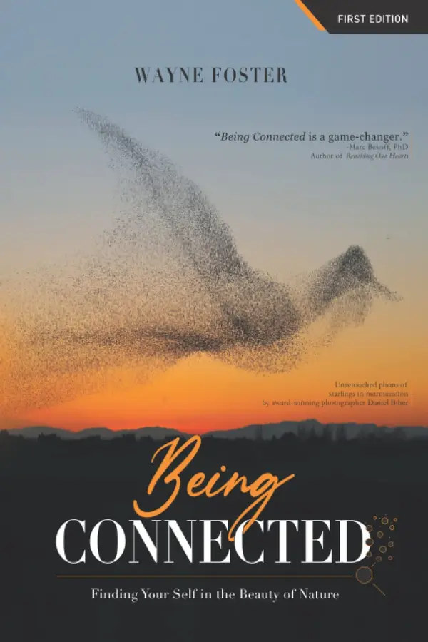Being Connected: Finding Your Self in the Beauty of Nature by Wayne Foster cover
