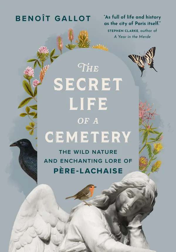The Secret Life of a Cemetery by Benoît Gallot, Daniel Casanave, Arielle Aaronson cover