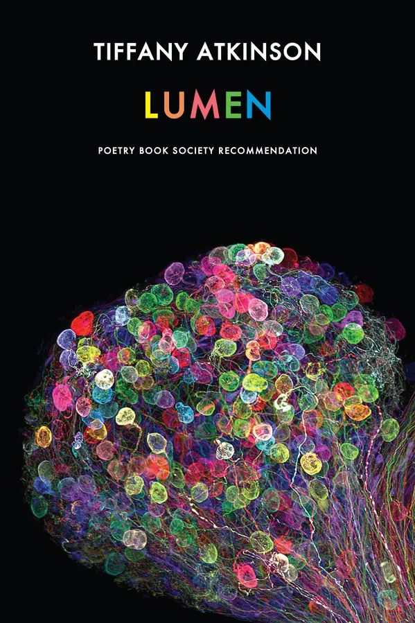 Lumen by Tiffany Atkinson cover