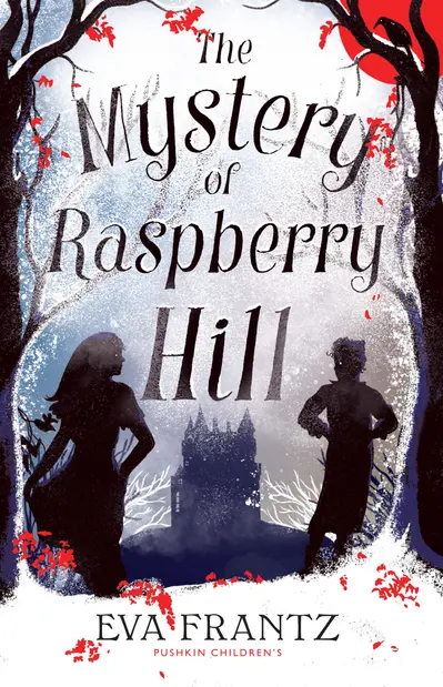 The Mystery of Raspberry Hill book cover
