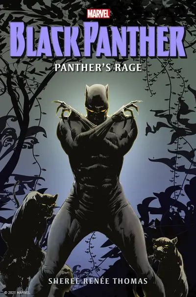 Black Panther: Panther's Rage book cover