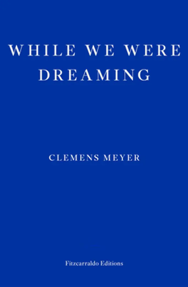 While We Were Dreaming by Clemens Meyer cover