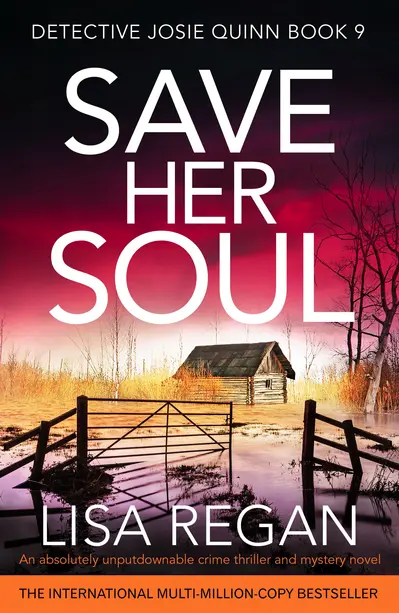 Save Her Soul book cover