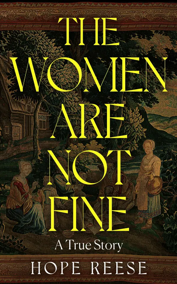 The Women Are Not Fine by Hope  Reese cover