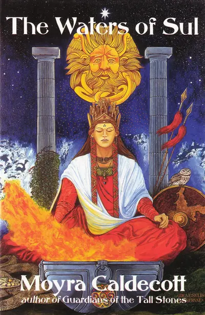 The Waters of Sul book cover