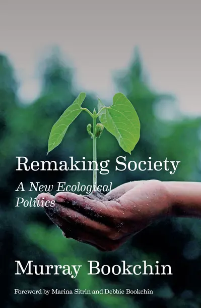 Remaking Society book cover