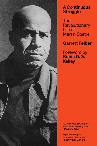 A Continuous Struggle book cover