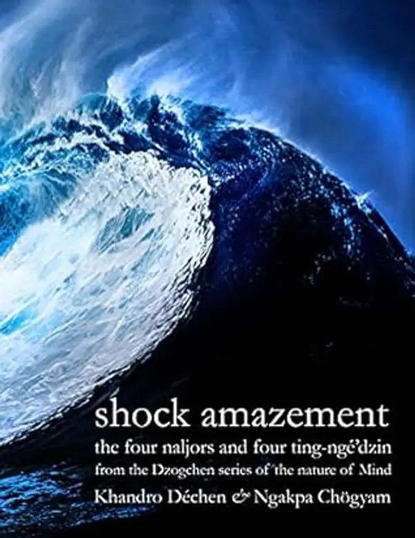 Shock Amazement by Ngakpa Chögyam cover