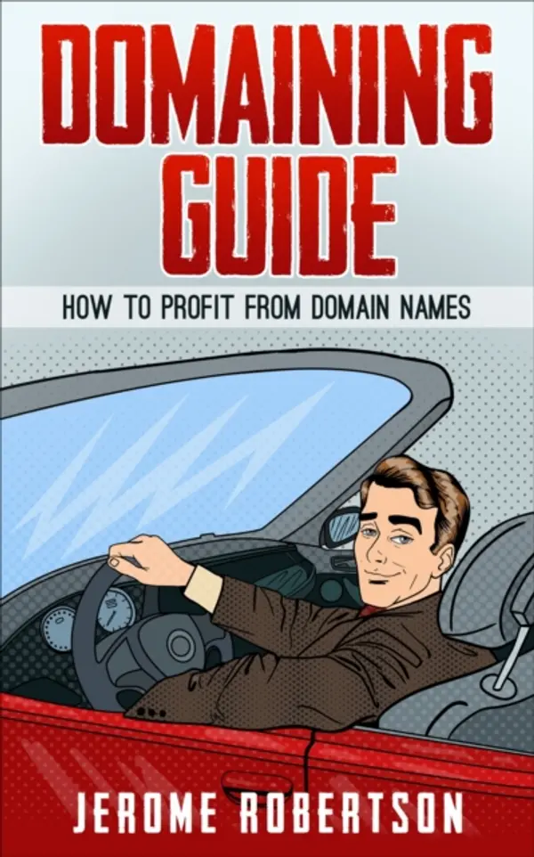 Domaining Guide by Robertson, Jerome cover