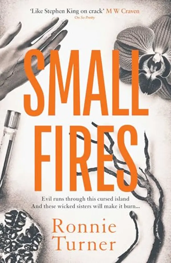Small Fires by Ronnie Turner cover