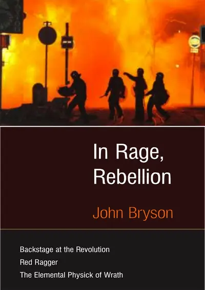 In Rage, Rebellion book cover