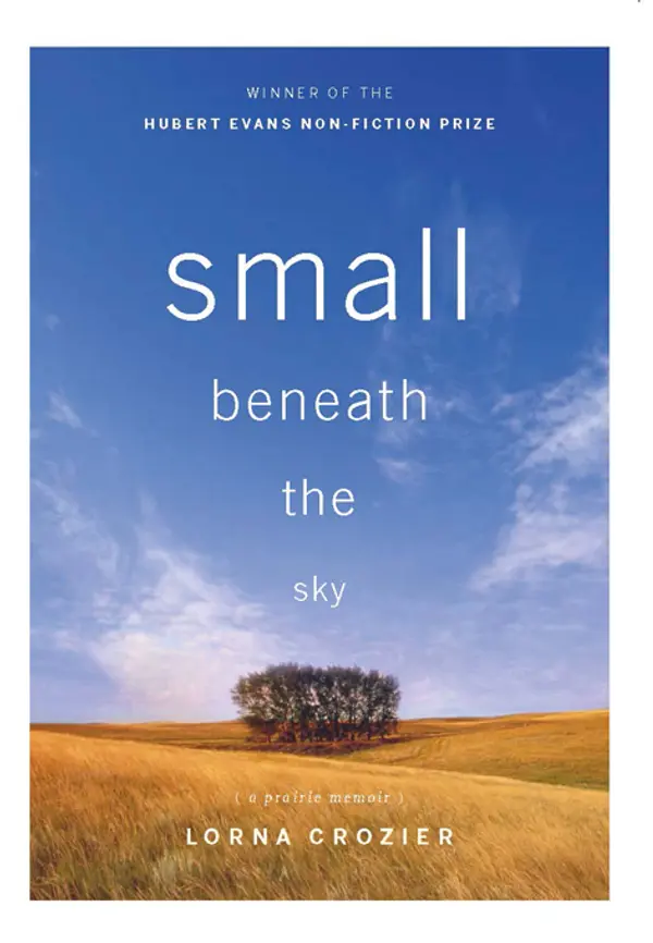 Small Beneath the Sky by Lorna Crozier cover