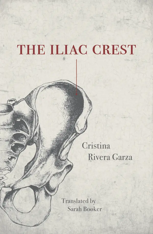The Iliac Crest by Sarah Booker, Cristina Rivera Garza cover