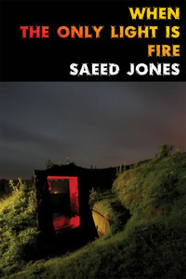 When the Only Light Is Fire by Saeed Jones cover